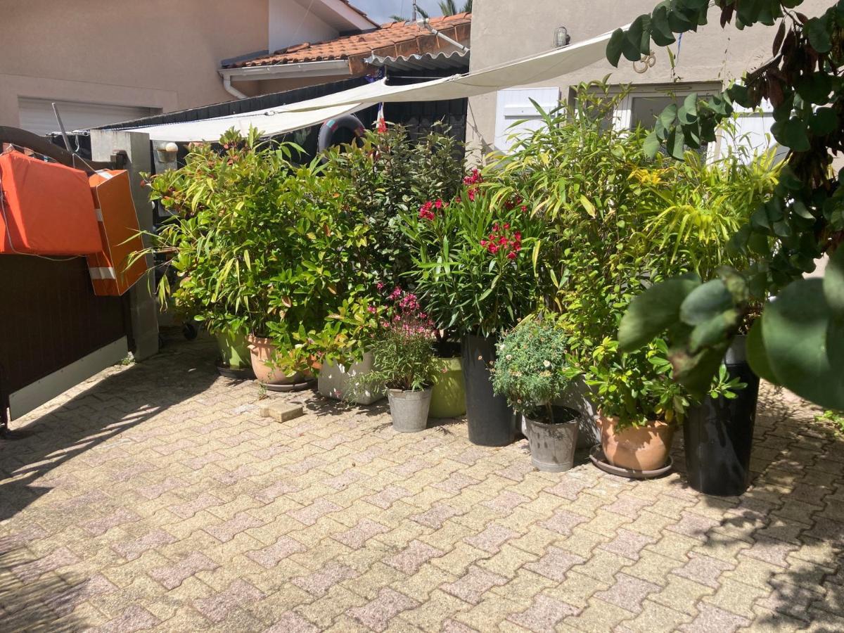 Maisonnette Studio Arcachon 300M Plage ภายนอก รูปภาพ