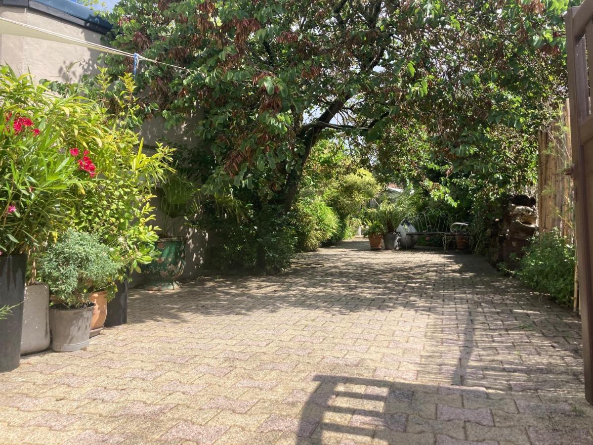 Maisonnette Studio Arcachon 300M Plage ภายนอก รูปภาพ